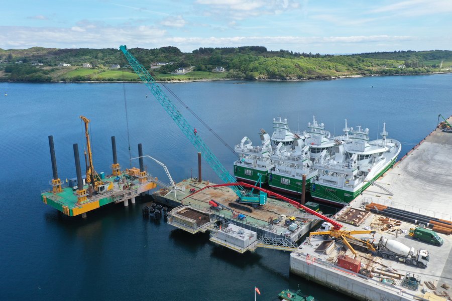 Smooth Point Breasting Dolphins, Killybegs